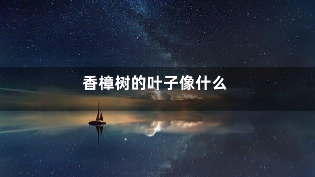 香樟树的叶子像什么